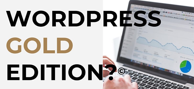 Another Screenshot from a Vendors PPT on WordPress Gold Edition
